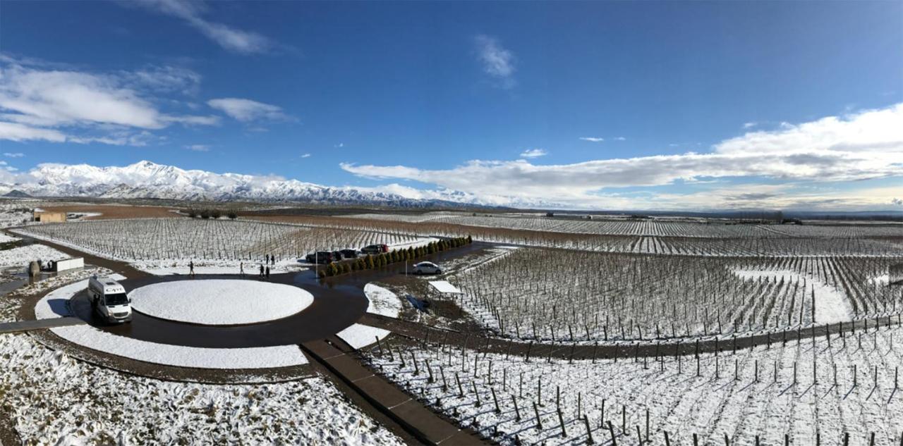 Casa De Uco Vineyards And Wine Resort Los Arboles Exterior photo