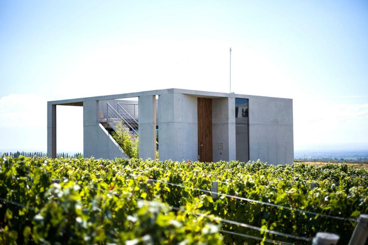 Casa De Uco Vineyards And Wine Resort Los Arboles Exterior photo